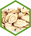 astragalus